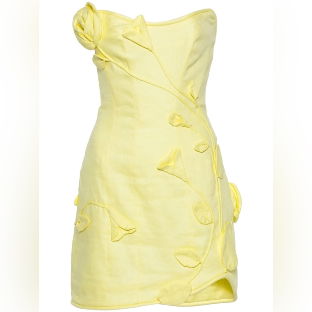 Zimmermann Matchmaker Rose Mini Dress